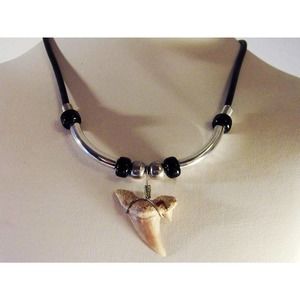 Mens Corded Shark Tooth Necklace , Shark Tooth Fossil Pendant , 18 Inch